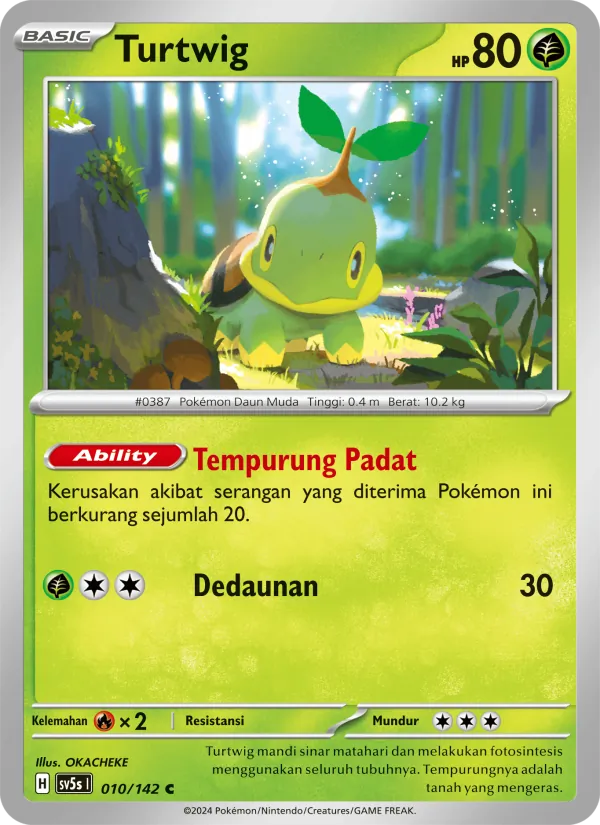 Turtwig
