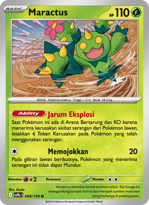 Maractus