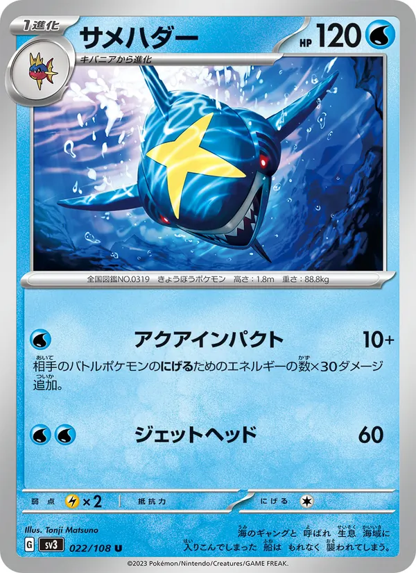 サメハダー