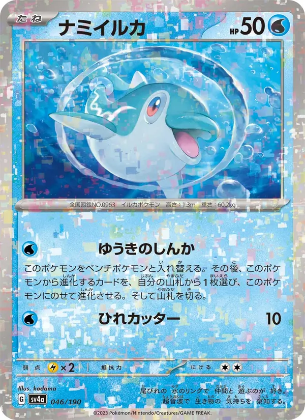 ナミイルカ