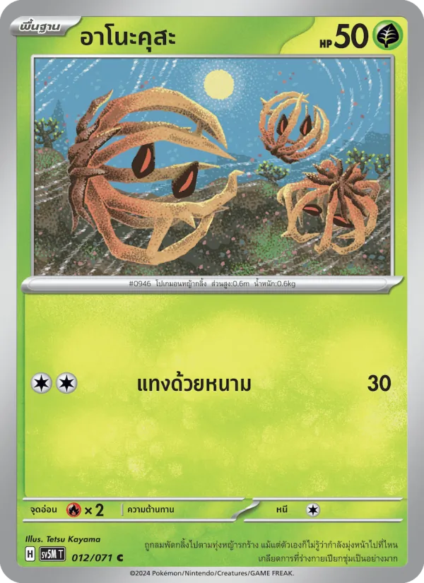 アノクサ