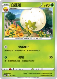 白蓬蓬