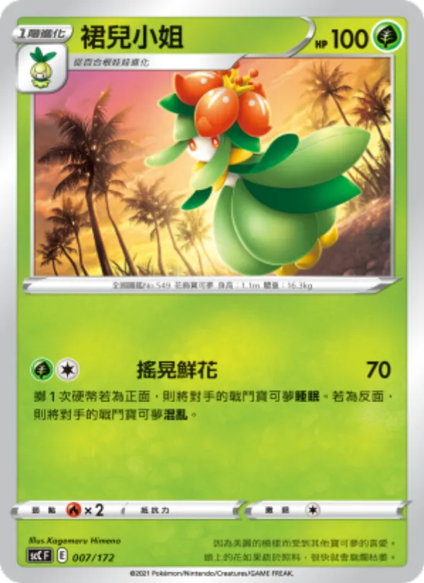 裙兒小姐